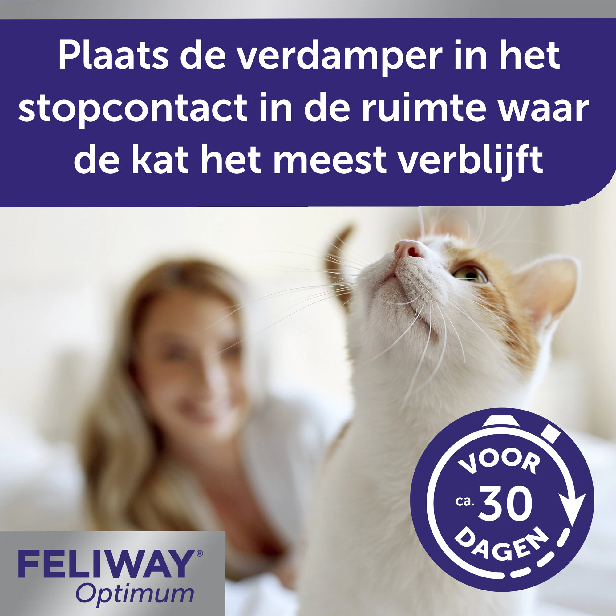 Feliway Optimum