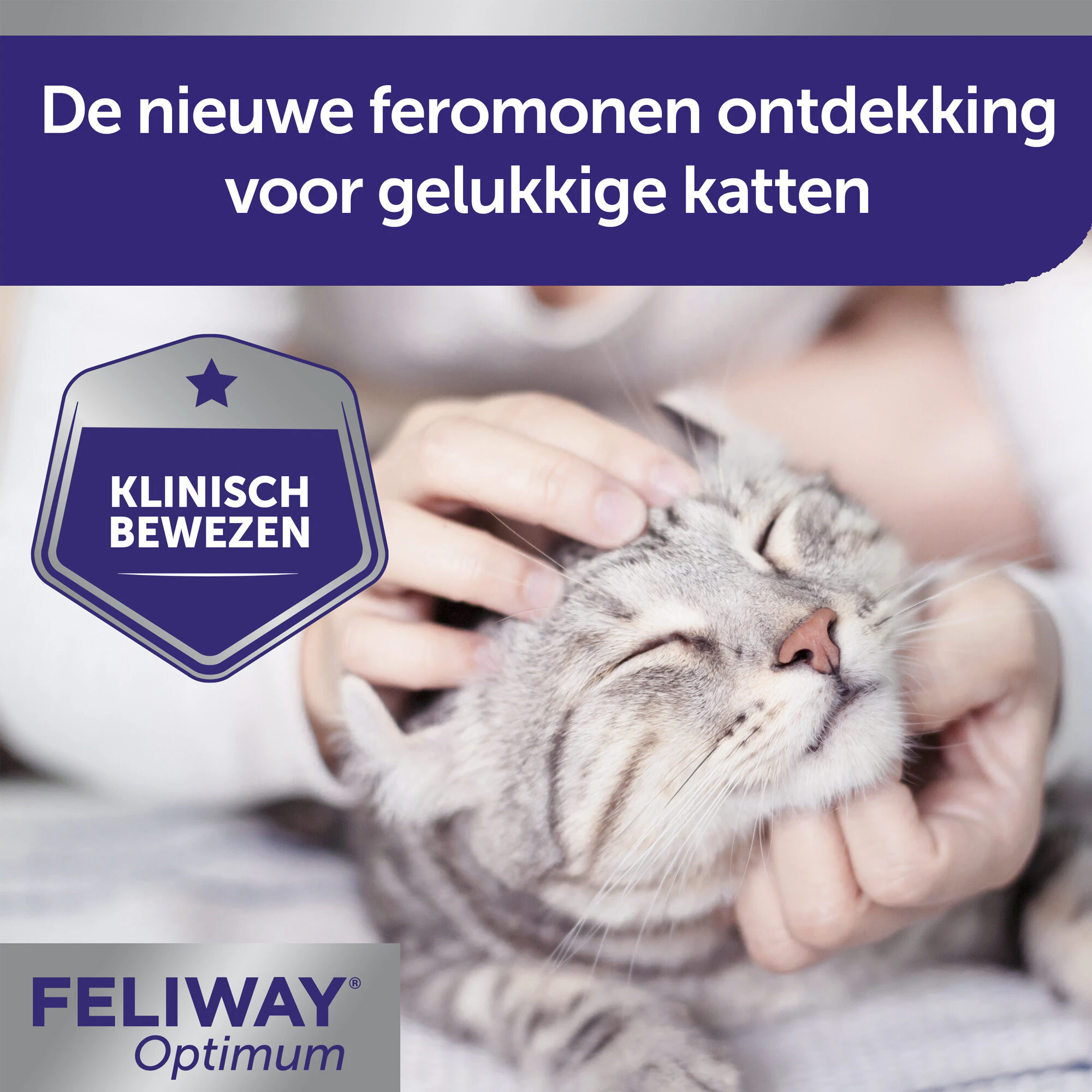 Feliway Optimum