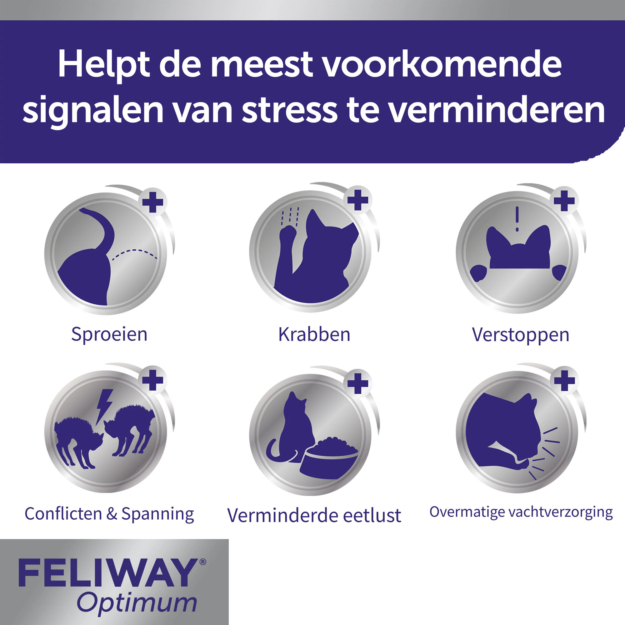 Feliway Optimum