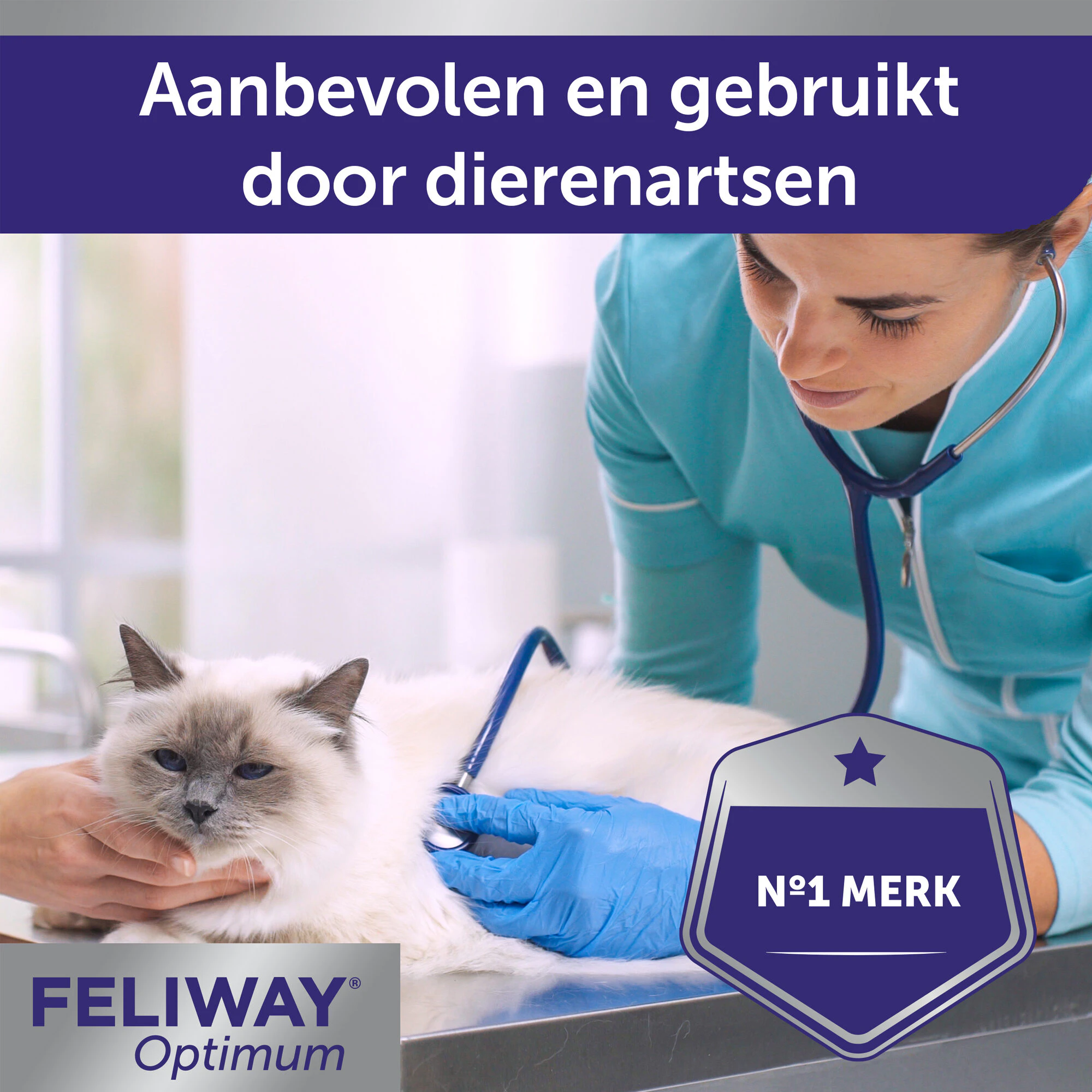 Feliway Optimum