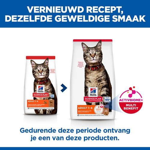 Hill's Science Plan - Feline Adult - Lamb