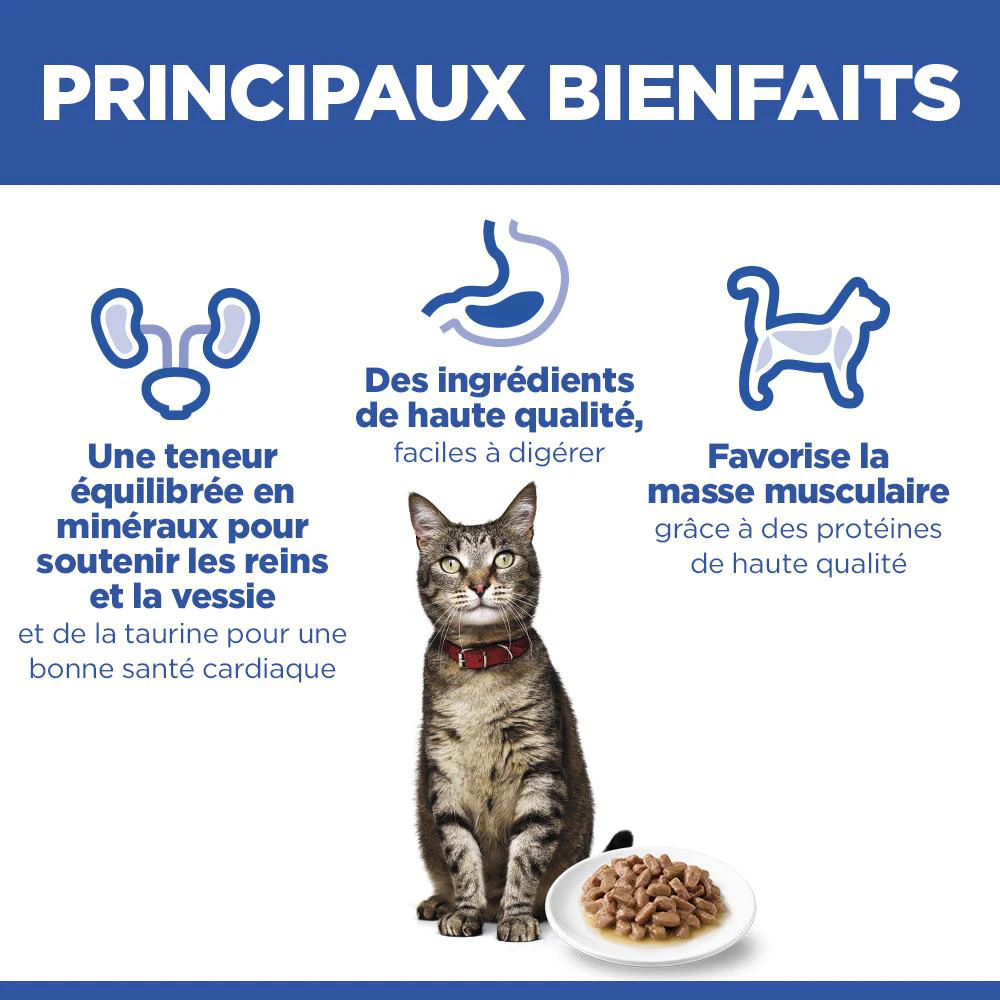 Hill's Science Plan Adult - Bœuf - Sachet