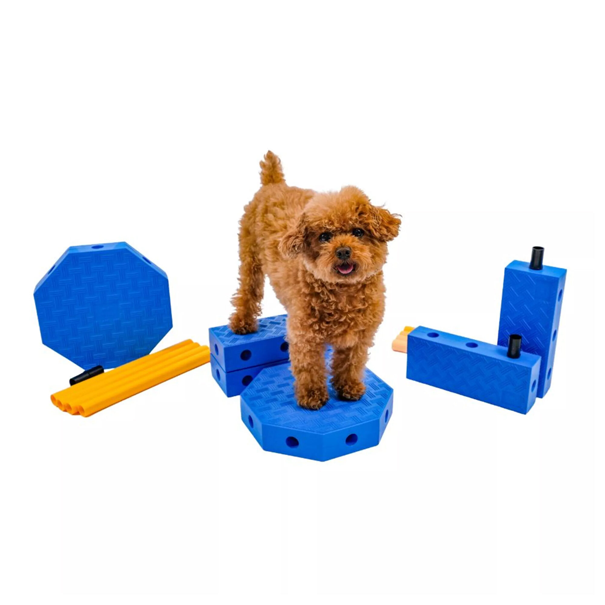 Fitpaws FitKinect Core