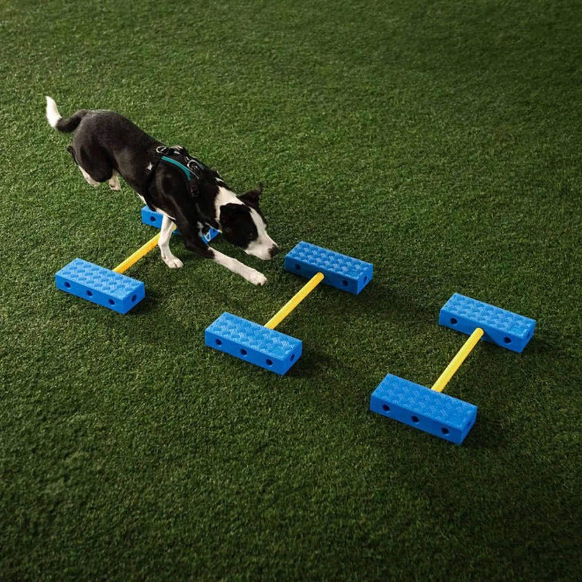 Fitpaws FitKinect Core