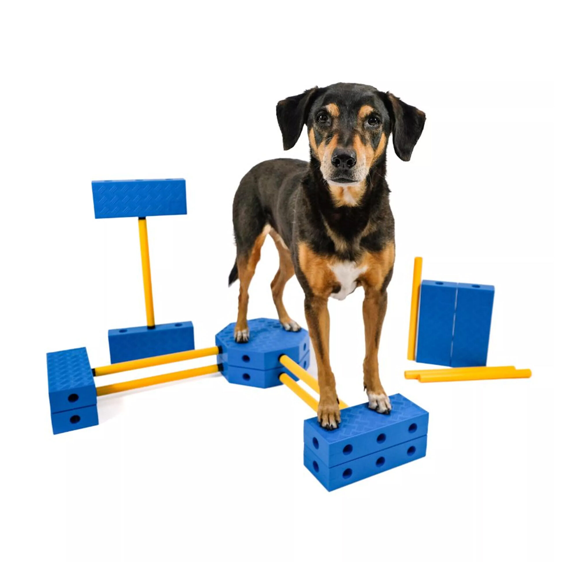 Fitpaws FitKinect Xtra