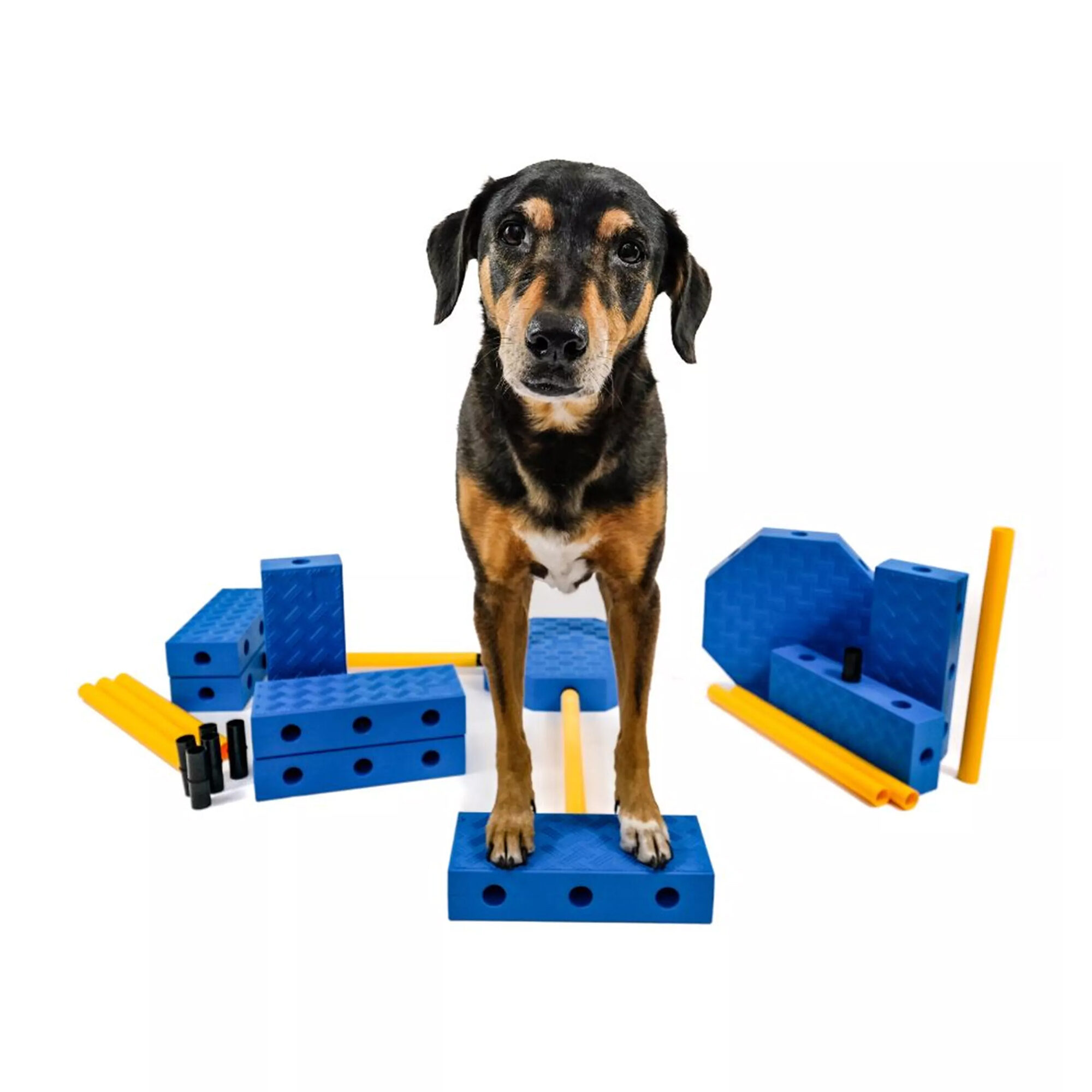 Fitpaws FitKinect Xtra