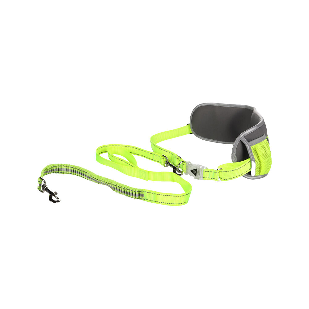 Flamingo Jogging Lead and LED Waist Belt Order