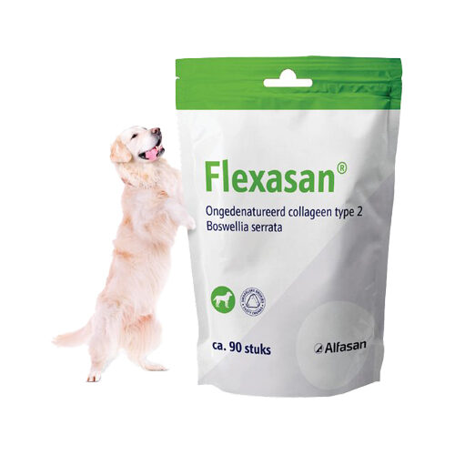 Flexasan - 90 kauwbrokjes