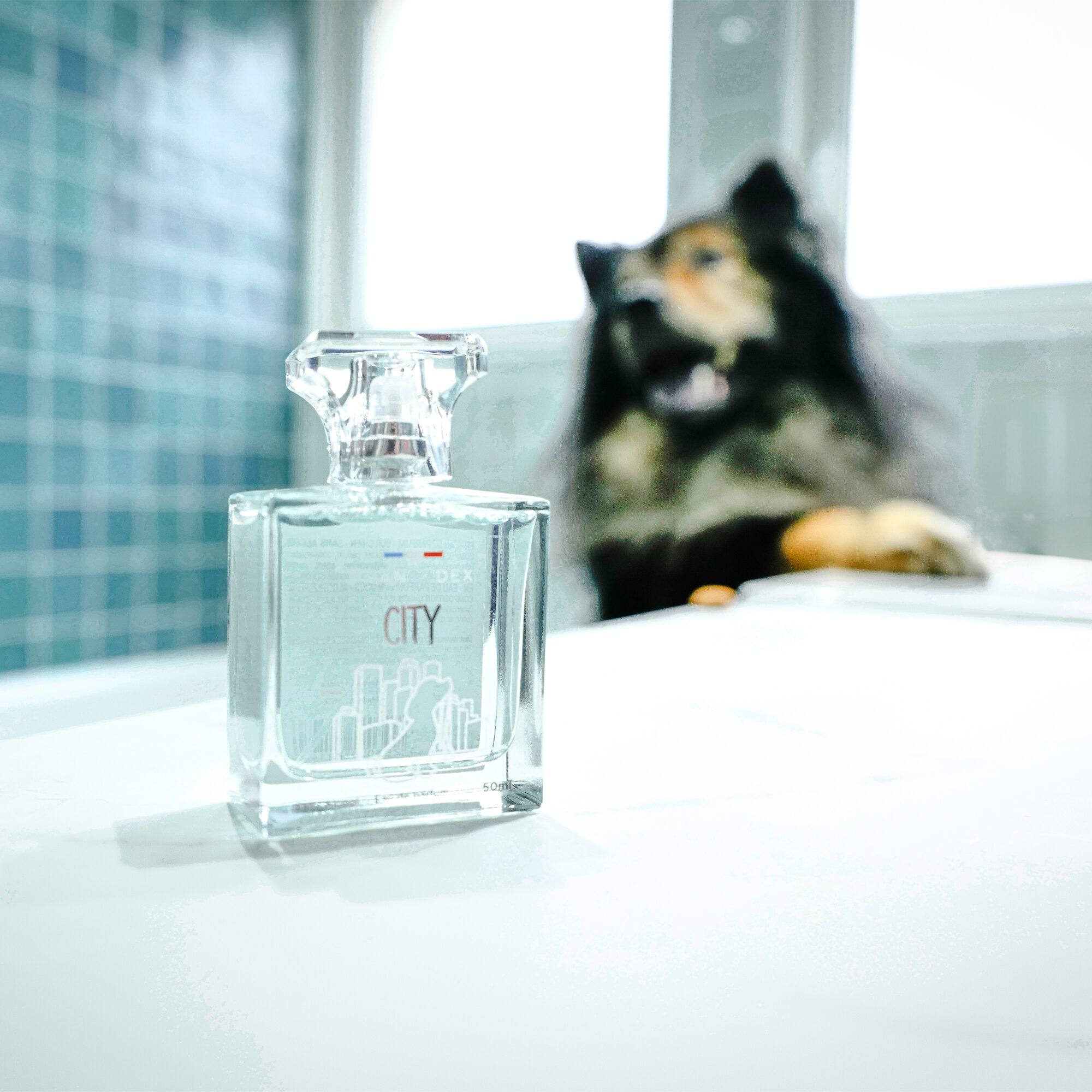 Francodex City Perfume