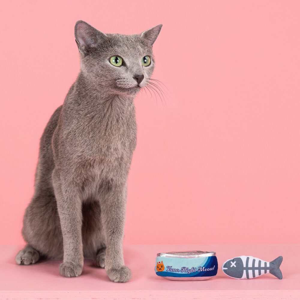Fringe Tuna Right Meow