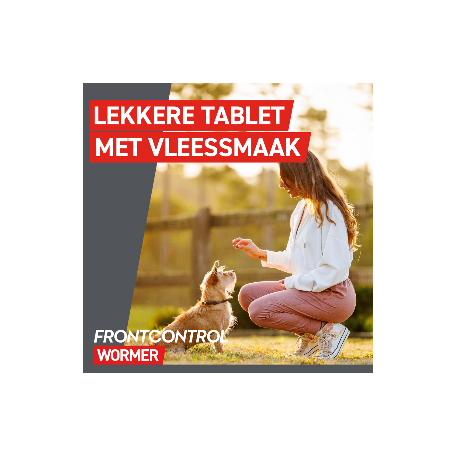 Frontcontrol Wormer Hond