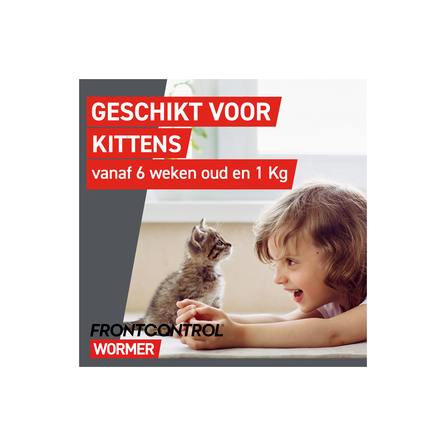 Frontcontrol Wormer Kat