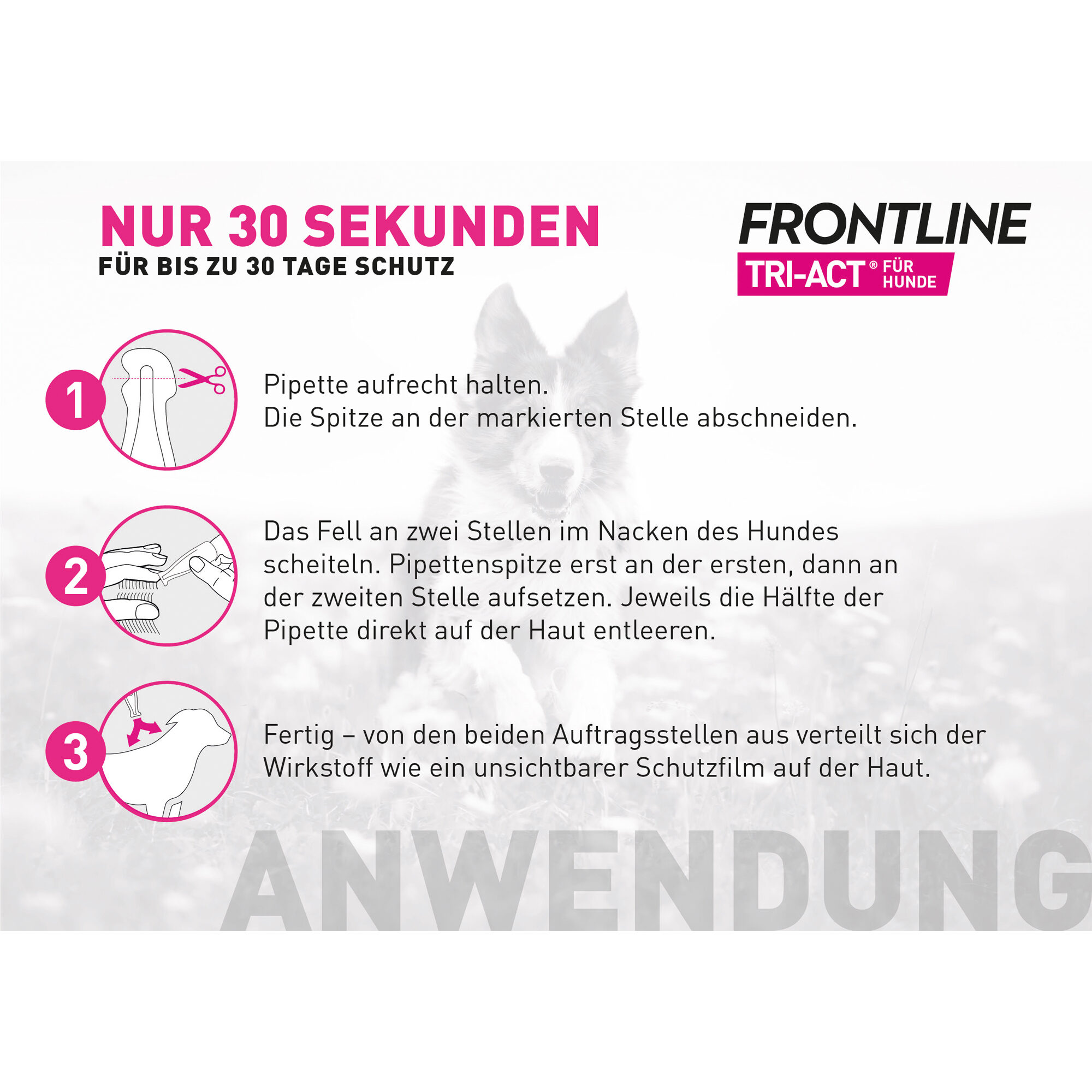 Frontline Tri-Act gegen Zecken, Flöhe und fliegende Insekten für Hunde x