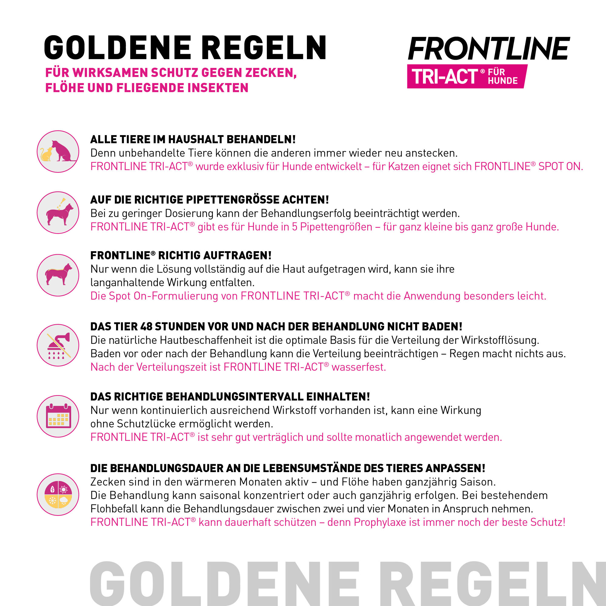 Frontline Tri-Act gegen Zecken, Flöhe und fliegende Insekten für Hunde x