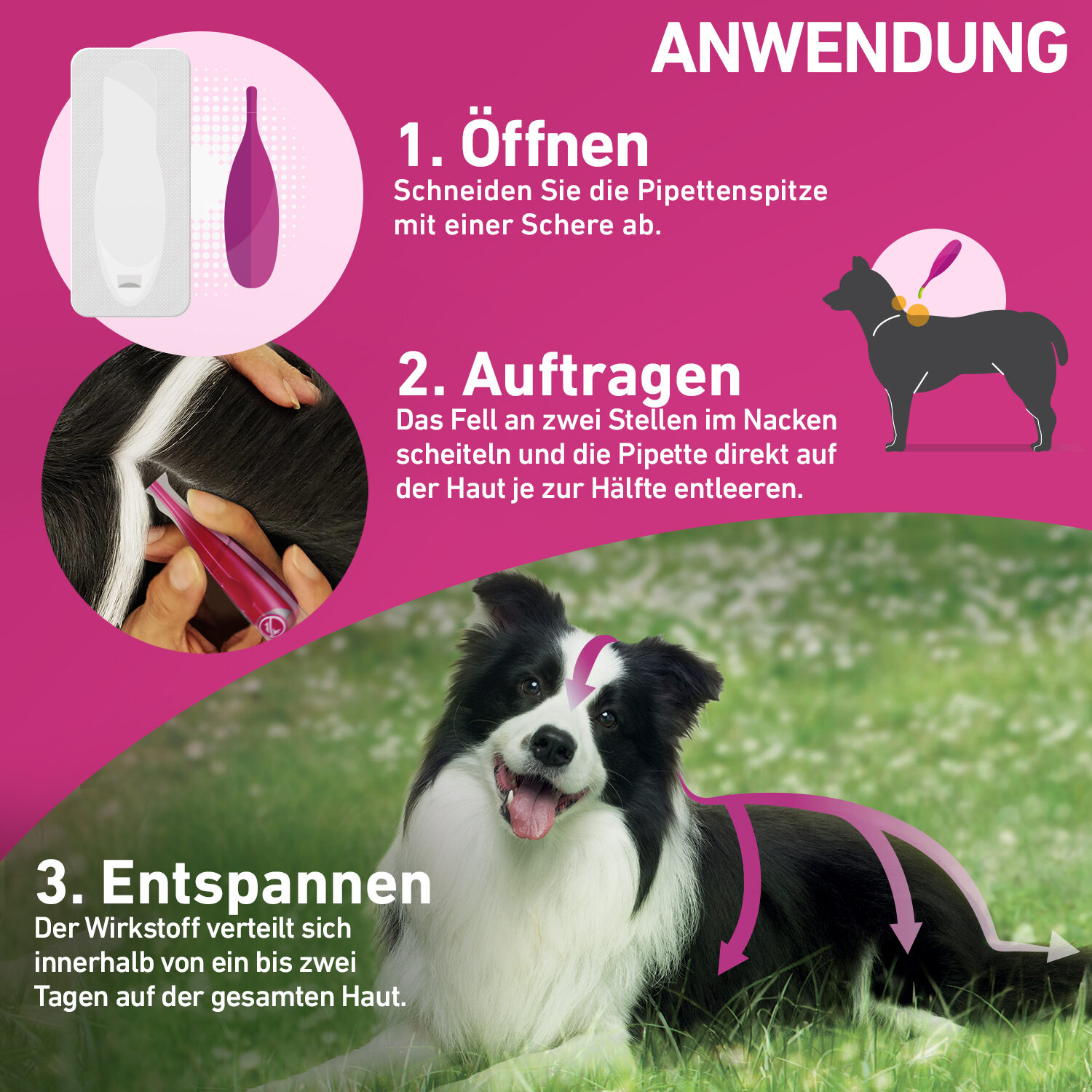 Frontline Tri-Act gegen Zecken, Flöhe und fliegende Insekten für Hunde x