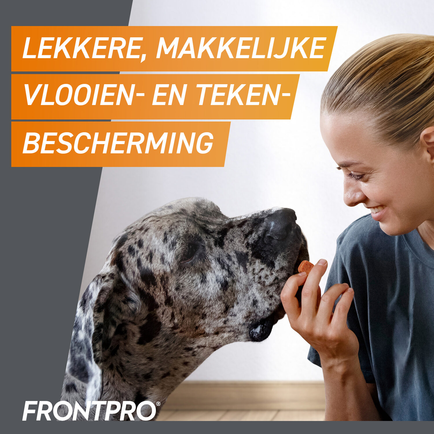FRONTPRO Kauwtabletten Hond