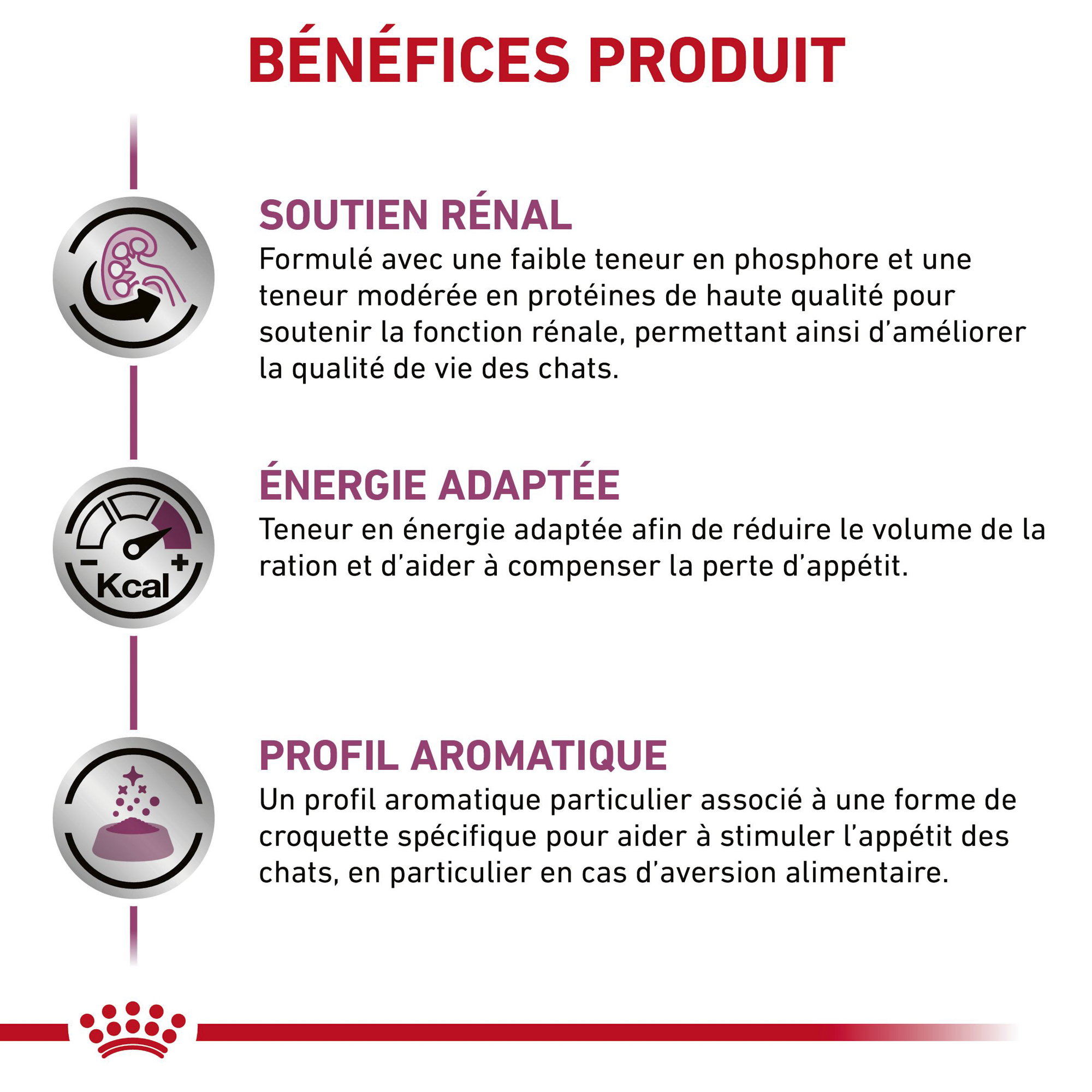 Royal Canin Rénal Chat