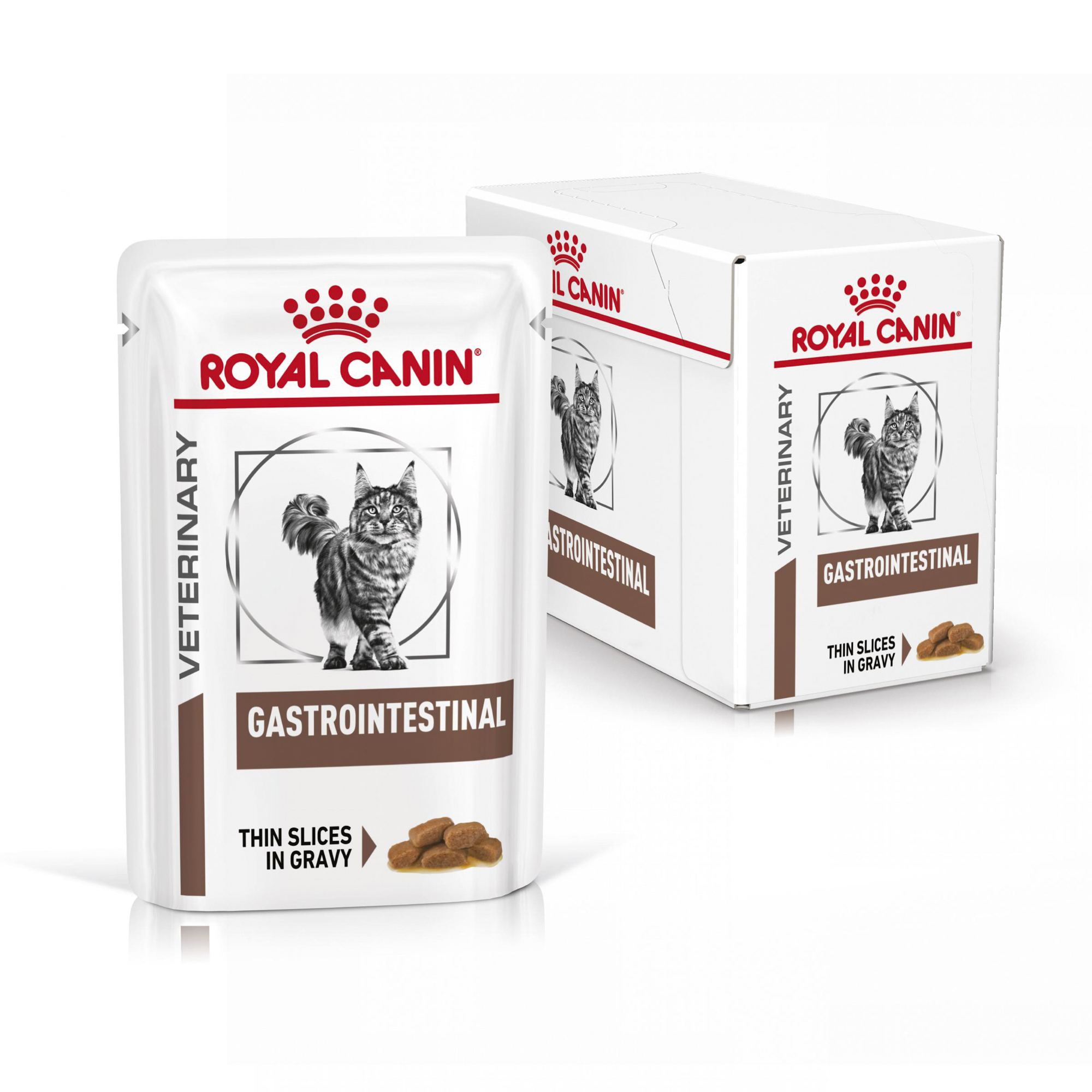 Gastro intestinal royal canin hotsell