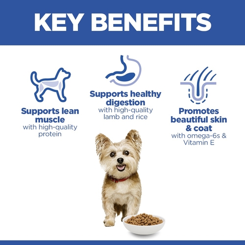 Hill's Science Plan Small & Mini - Adult - Lamb and Rice