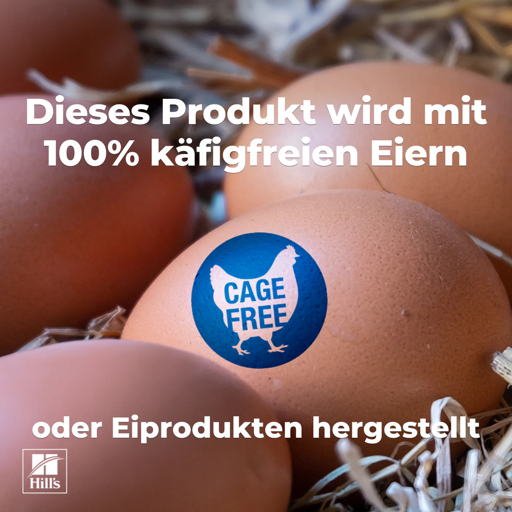 Hill's Science Plan Kätzchen und Mutter Zartes Mousse