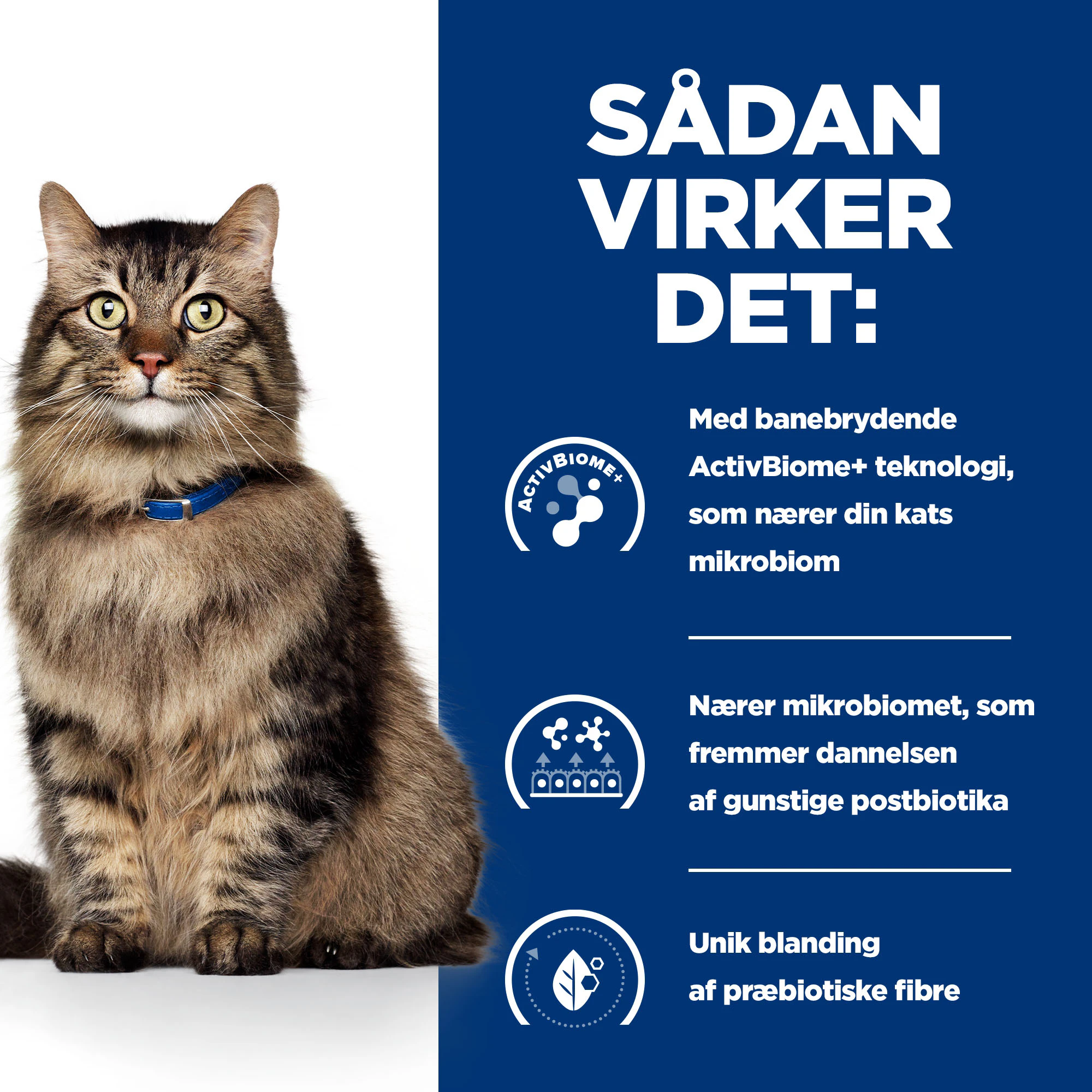 Hill's Prescription Diet - Gastrointestinal Biome - Kat - Vådfoder