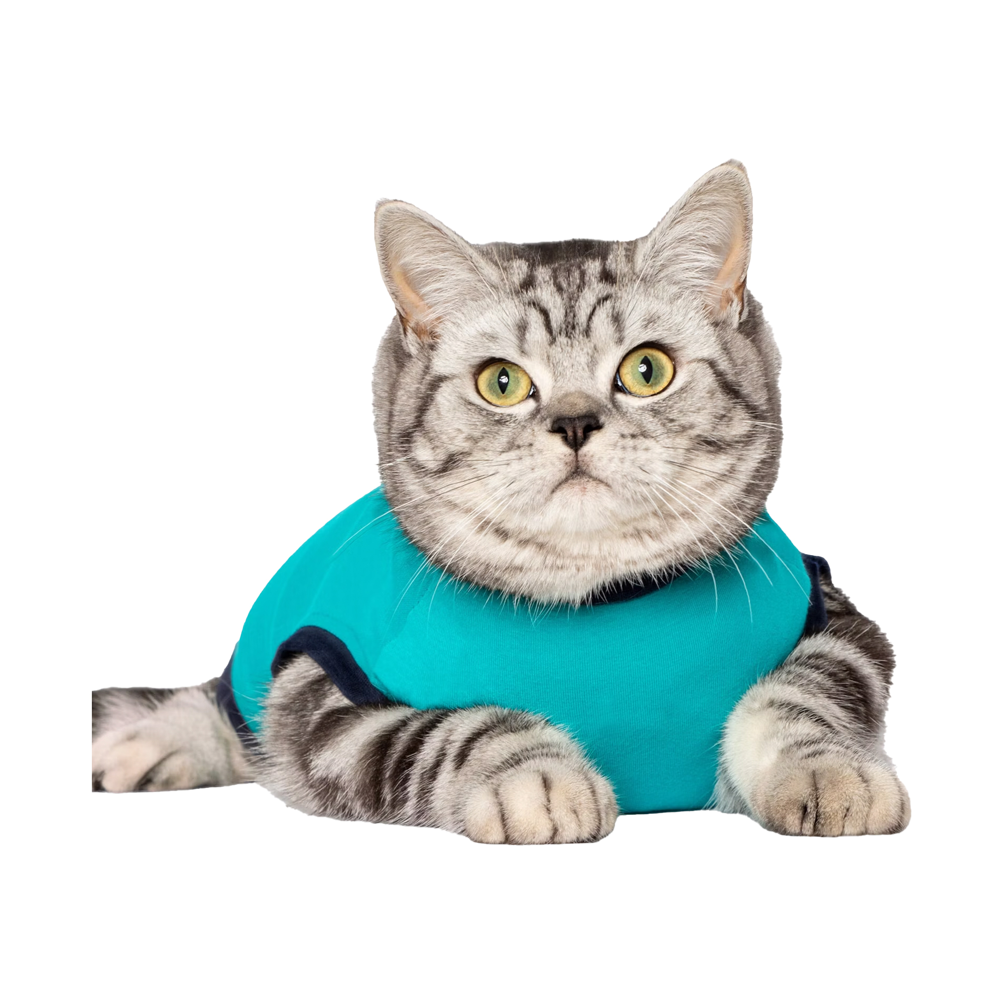 Jacketz Medical Body Suit Katze - Aqua Green - XS