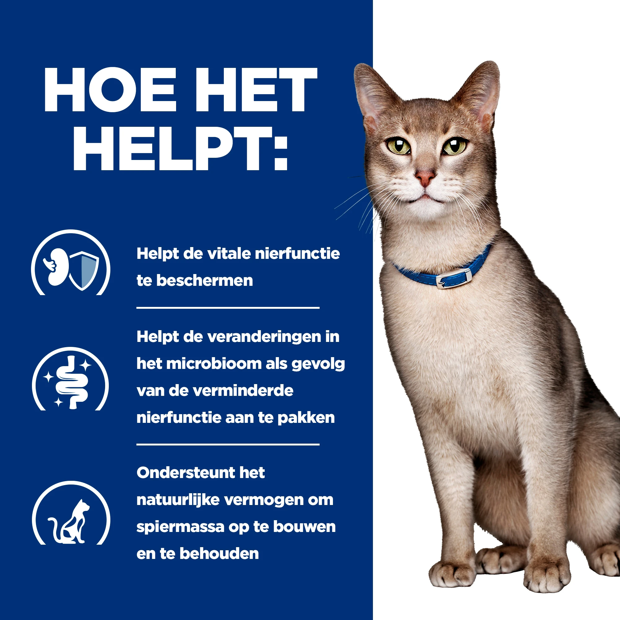 Hill's k/d Kidney Care - Prescription Diet - Feline - Mousse
