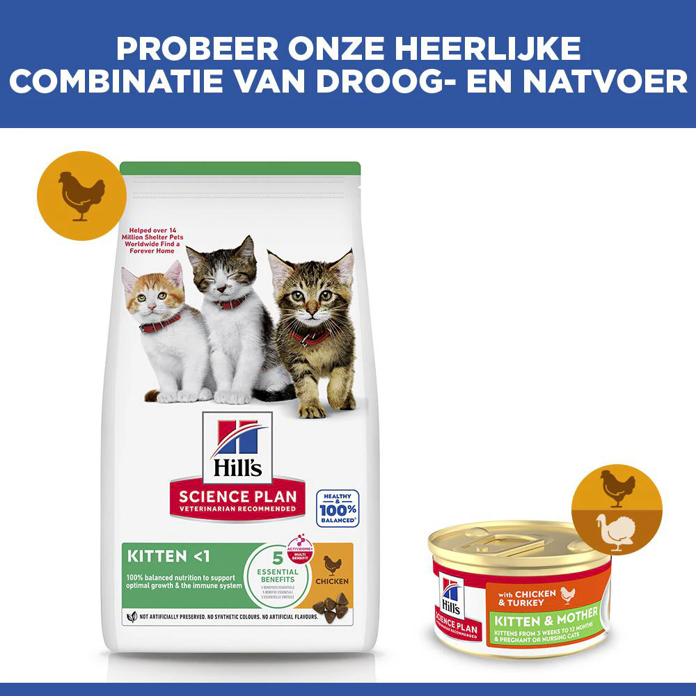Hill's Science Plan Kitten & Mother Tender Mousse