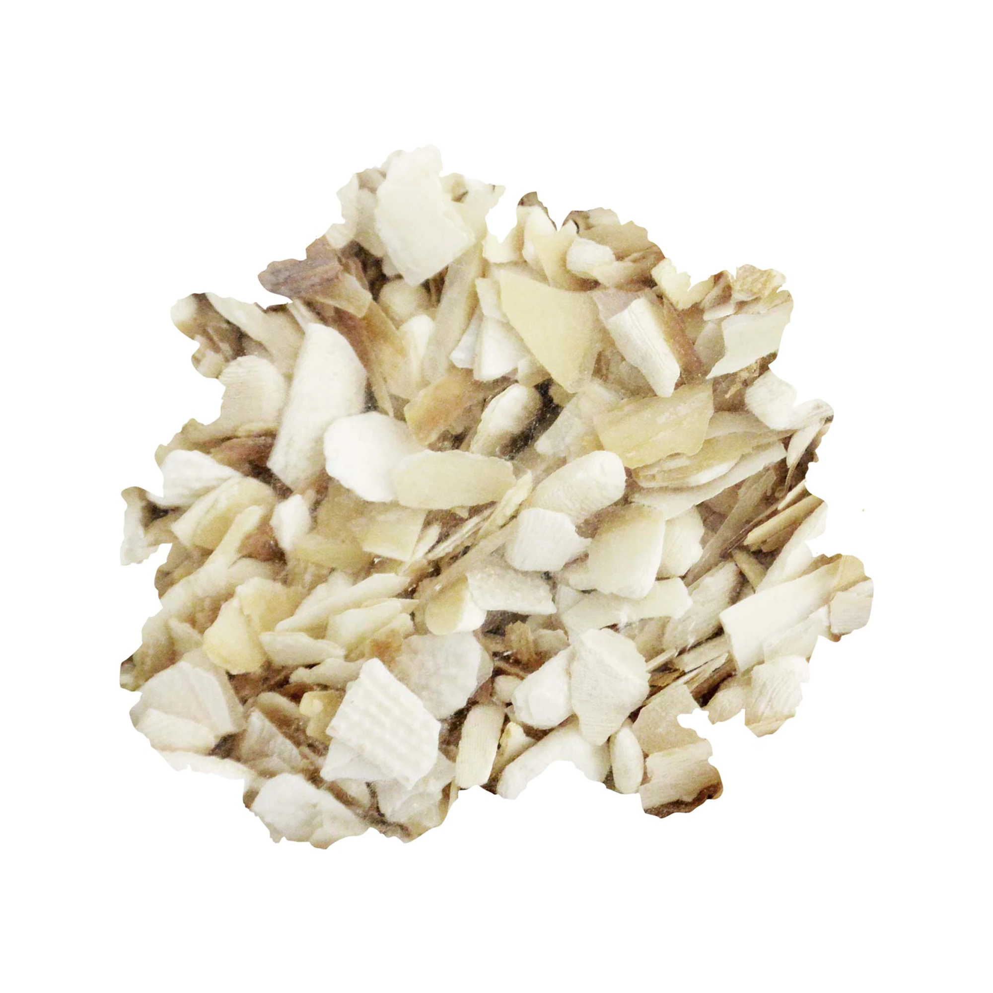 Lucky Reptile Sepia Crushed