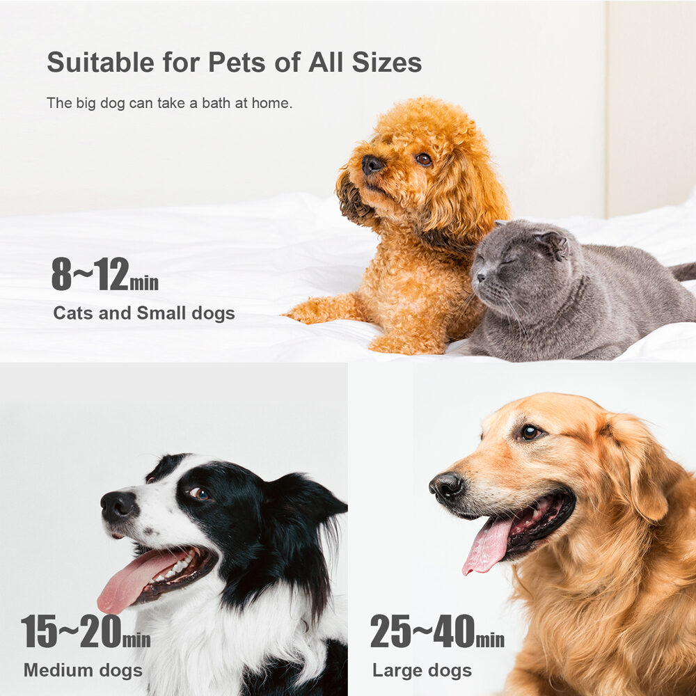 Gd.Edi Wasserbläser