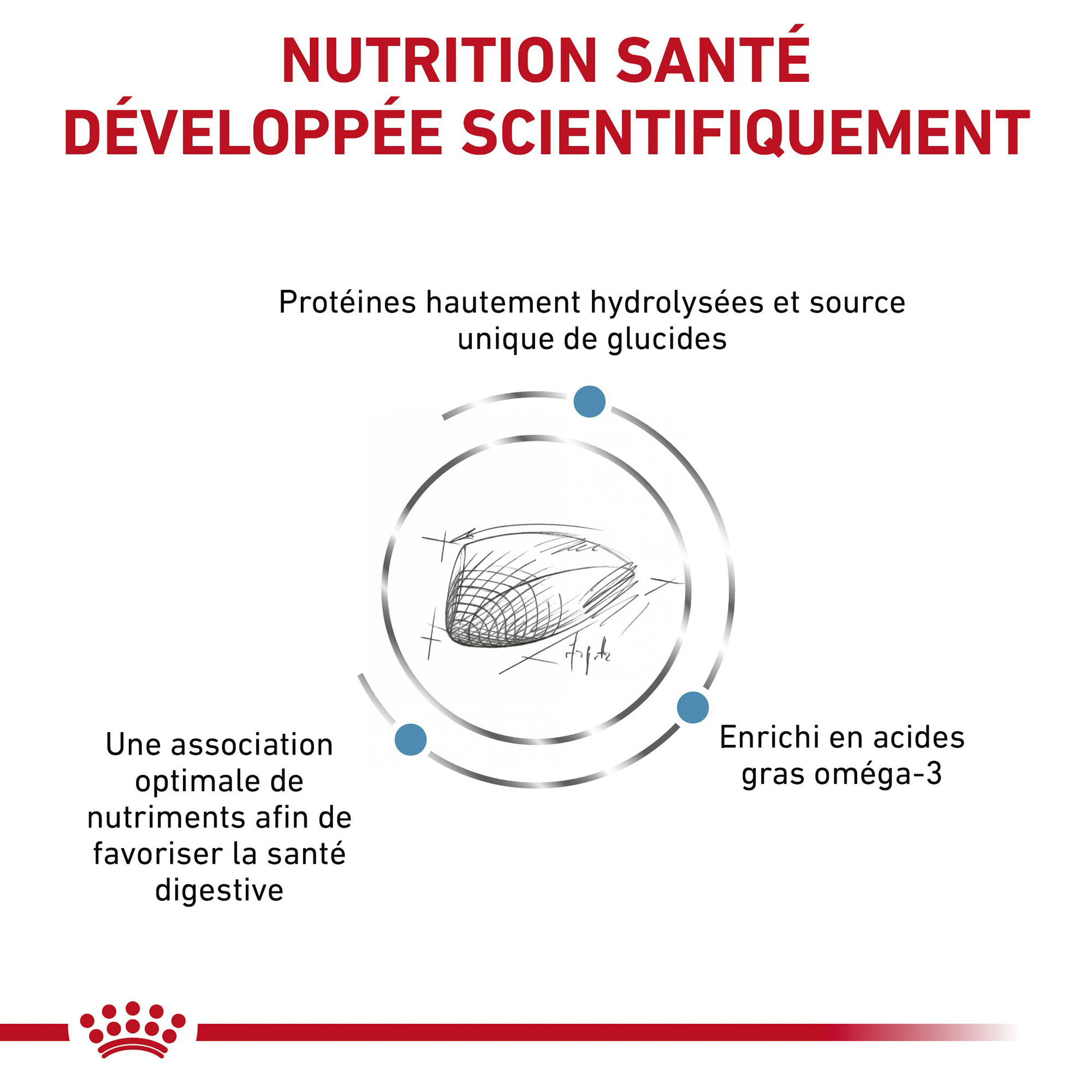 Royal Canin Hypoallergenic Chat