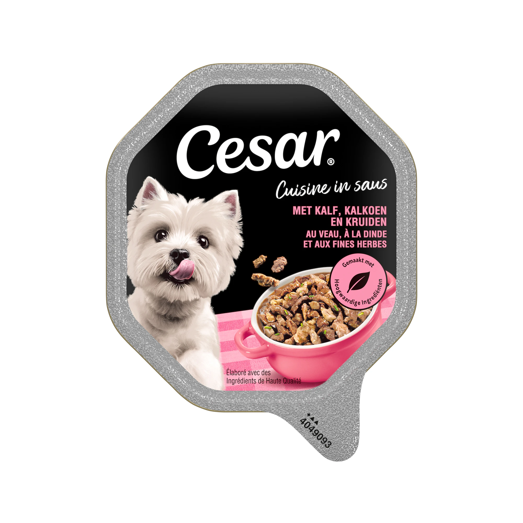 Cesar Cuisine in Saus
