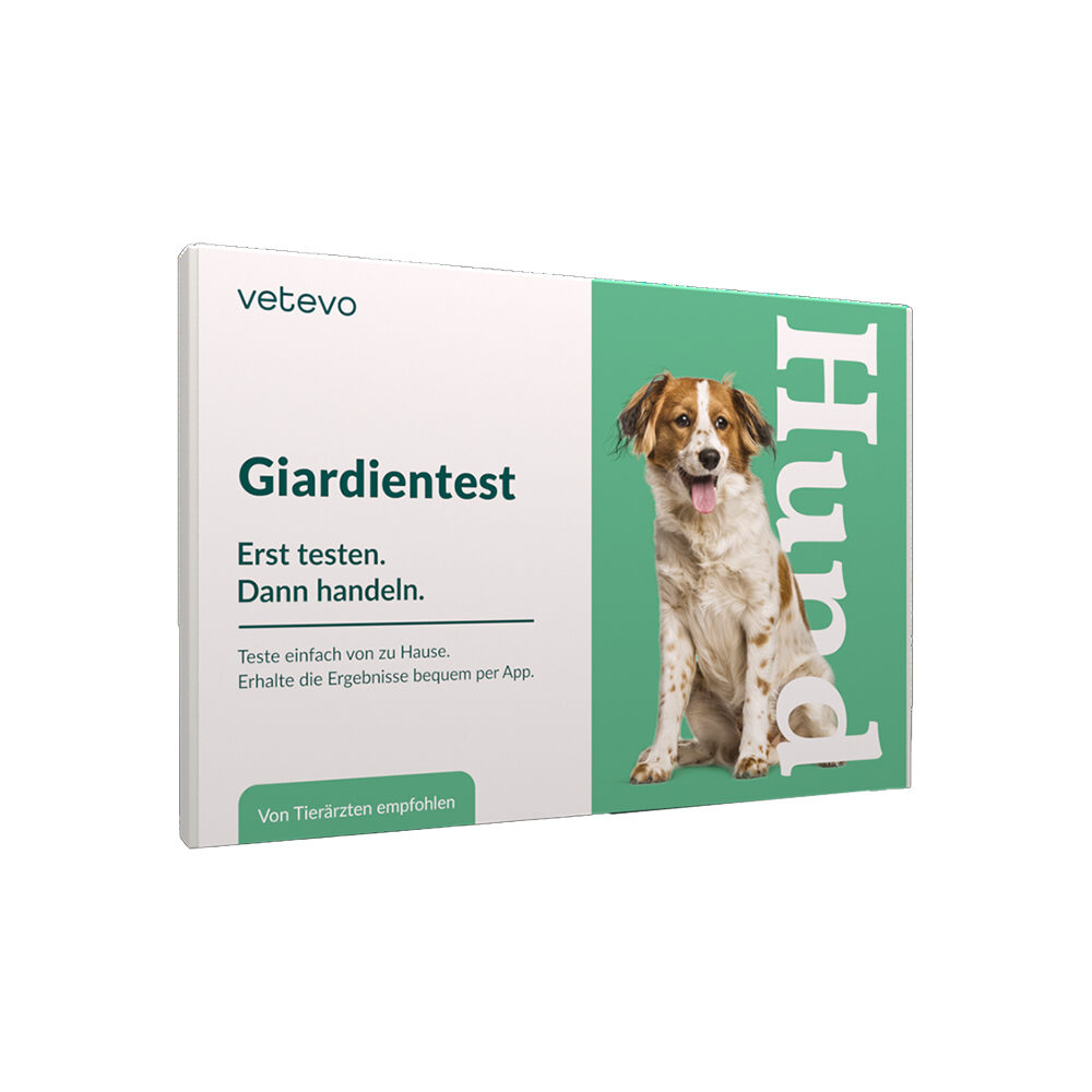 Vetevo Giardiatest Hund – 1 Stück