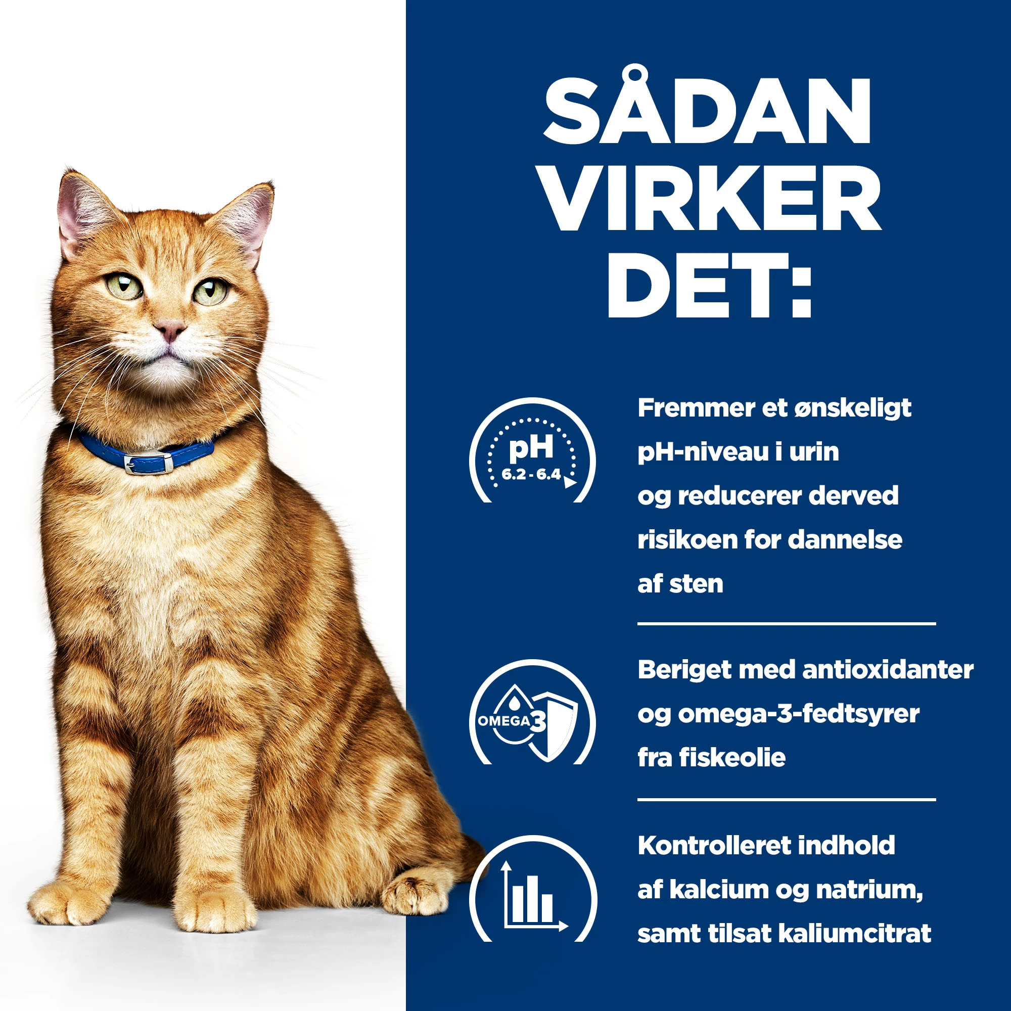 Hill's c/d Multicare - Prescription Diet - Kat - Mousse
