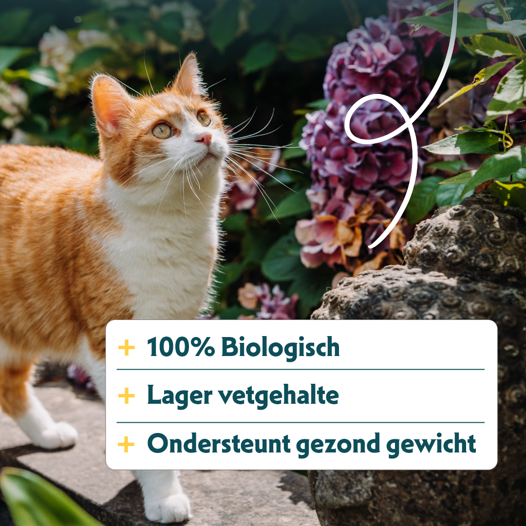 Yarrah - Droogvoer Gesteriliseerde Kat Tarwevrij Bio