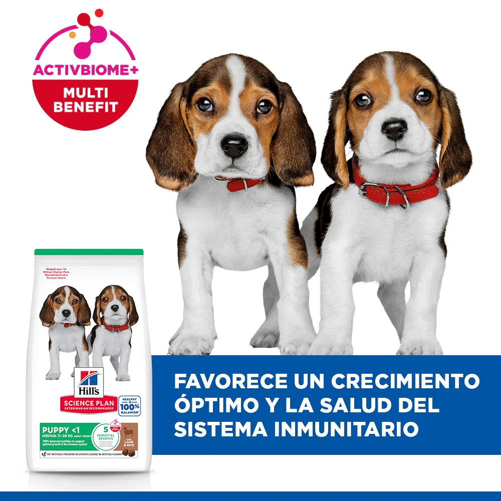 Hill's Science Plan - Puppy - Medium - Cordero y Arroz