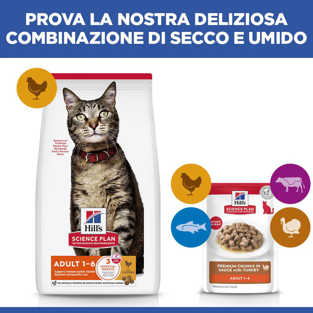 Hill's Science Plan Adult - Tacchino - Bustina pasto