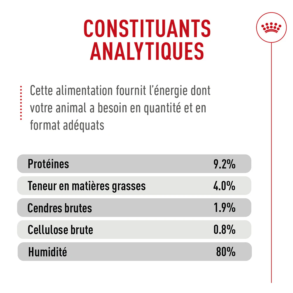 Royal Canin Digestive Care Mousse - Pour chat
