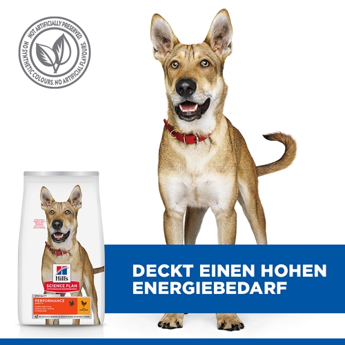 Hill's Science Plan Adult Performance Hundefutter
