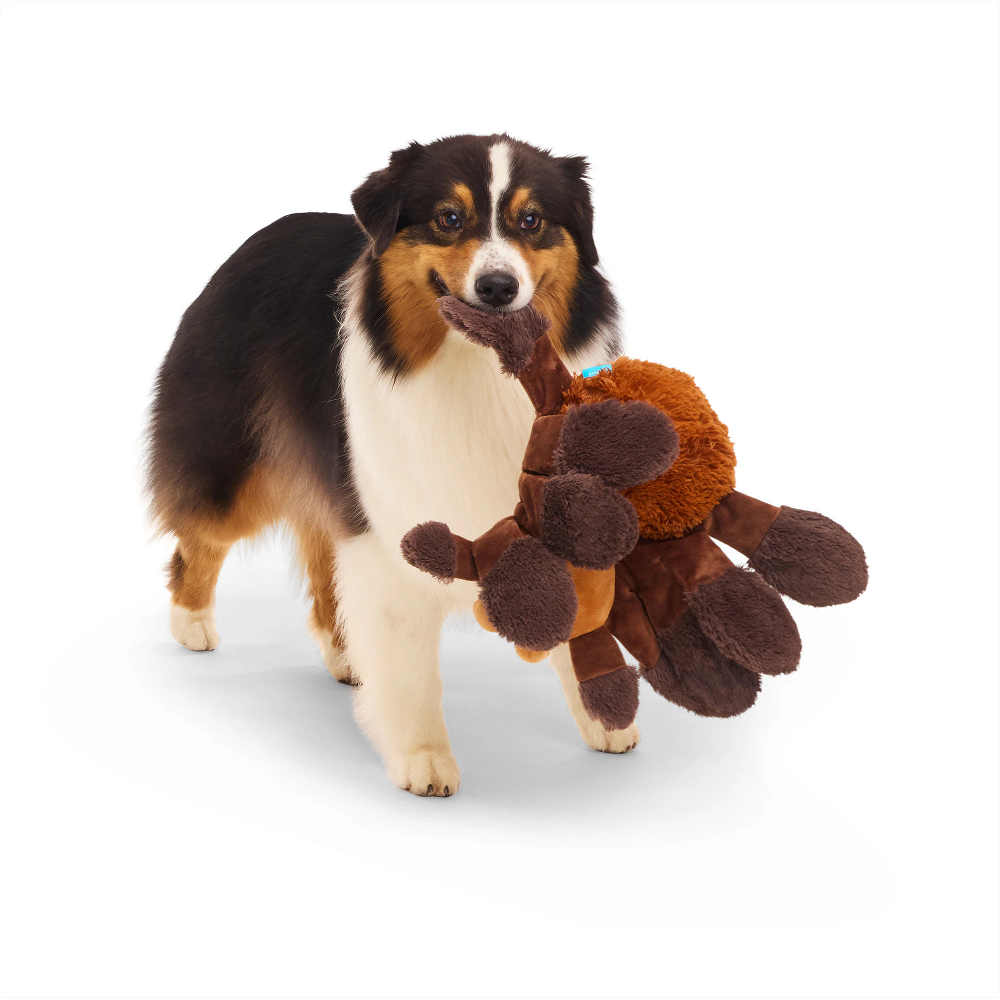Bark Harry Potter Aragog Kuscheltier