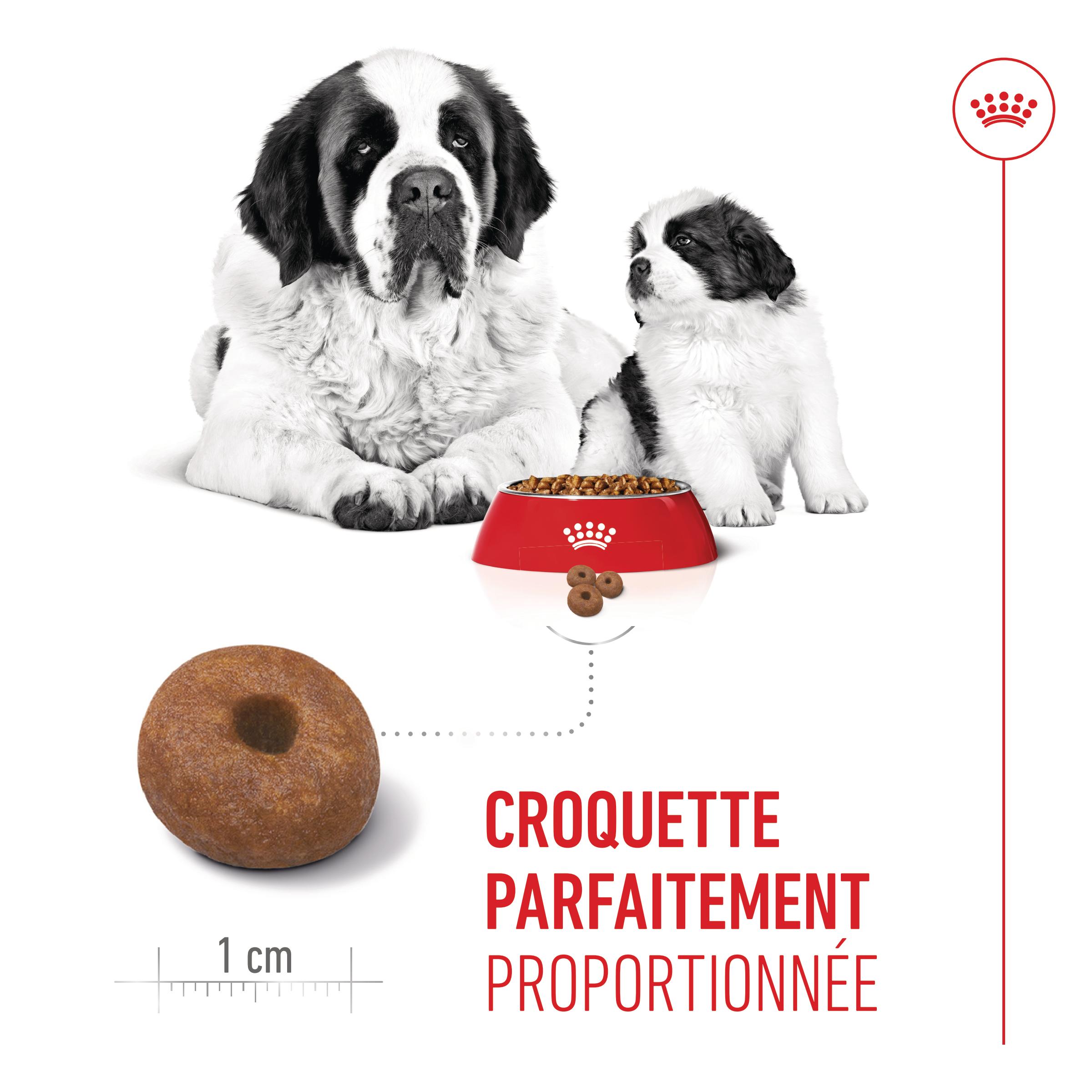 Royal Canin Giant Starter Mother & Babydog