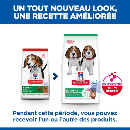 Hill's Science Plan - Puppy - Medium - Agneau & Riz