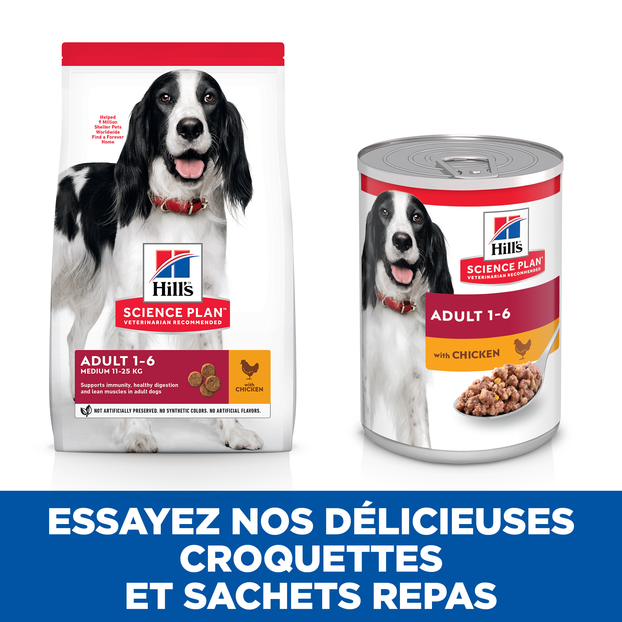 Hill's Science Plan Adult Medium - Poulet - Boîtes