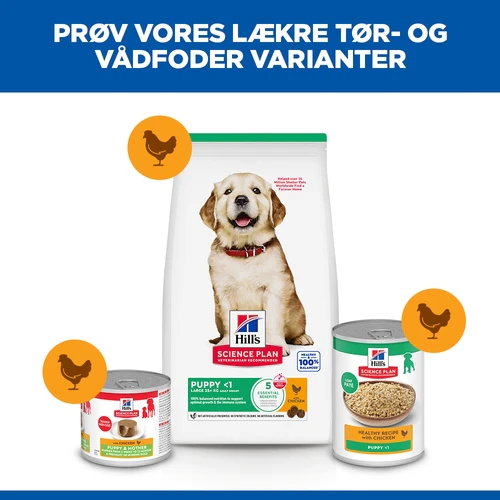 Hill's Science Plan - Large Breed - Puppy - Kylling