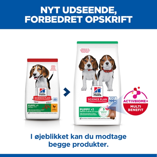 Hill's Science Plan - Puppy - Medium - Agnello e Riso