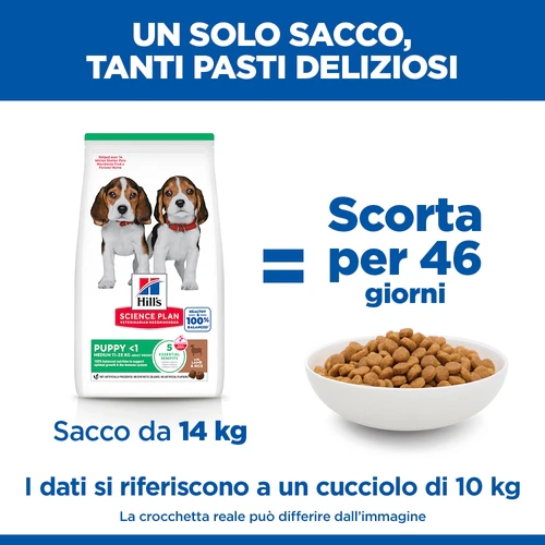 Hill's Science Plan - Puppy - Medium - Agnello e Riso