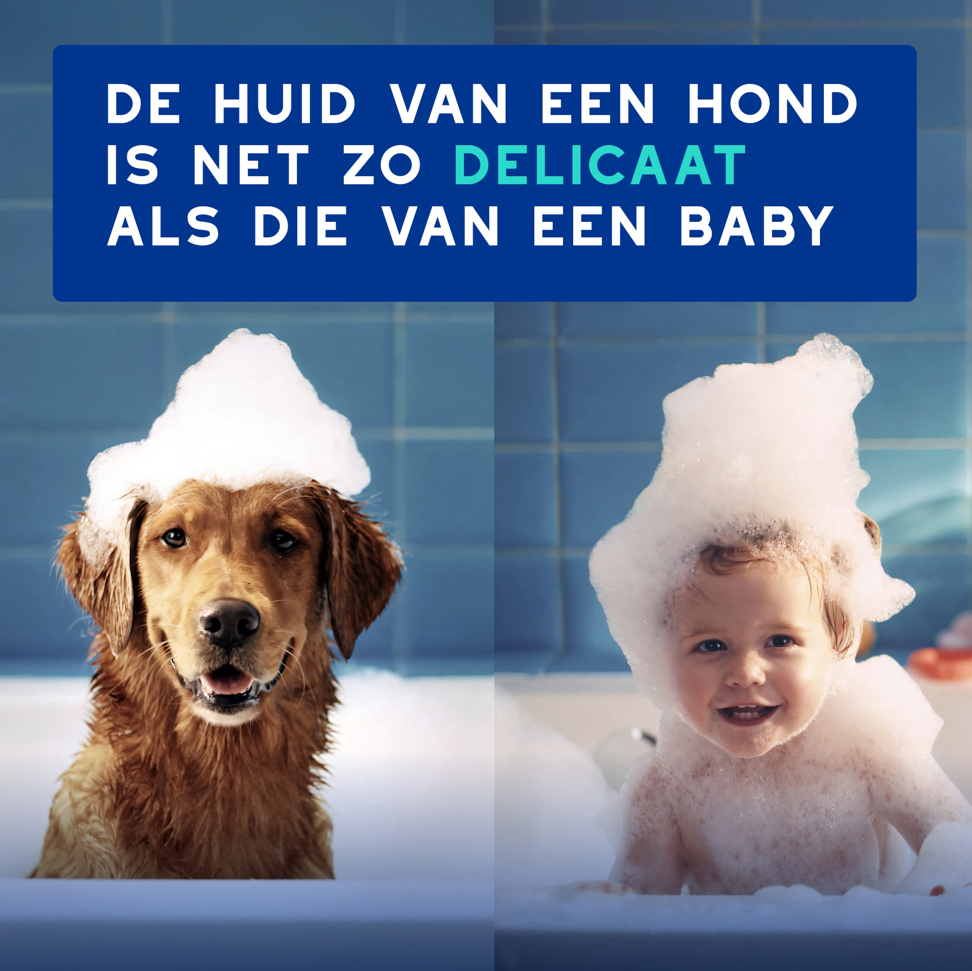 Douxo Spa Spray Anti-Geur