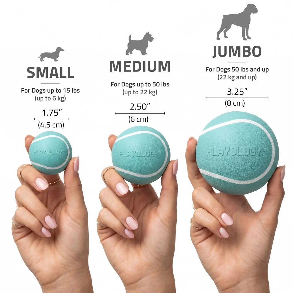 Playology Squeaky Chew Ball
