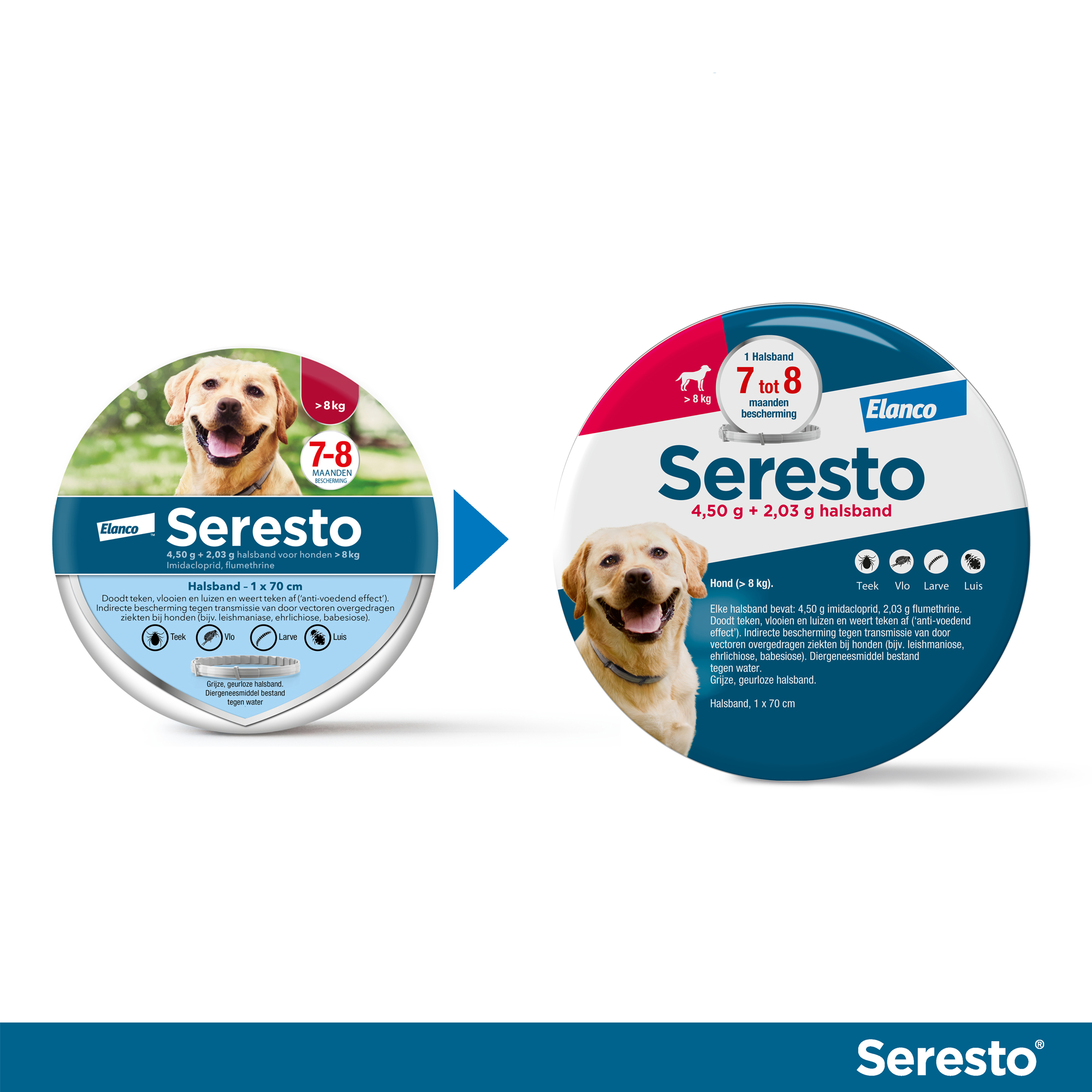 Seresto Collier Antiparasitaire pour Chien