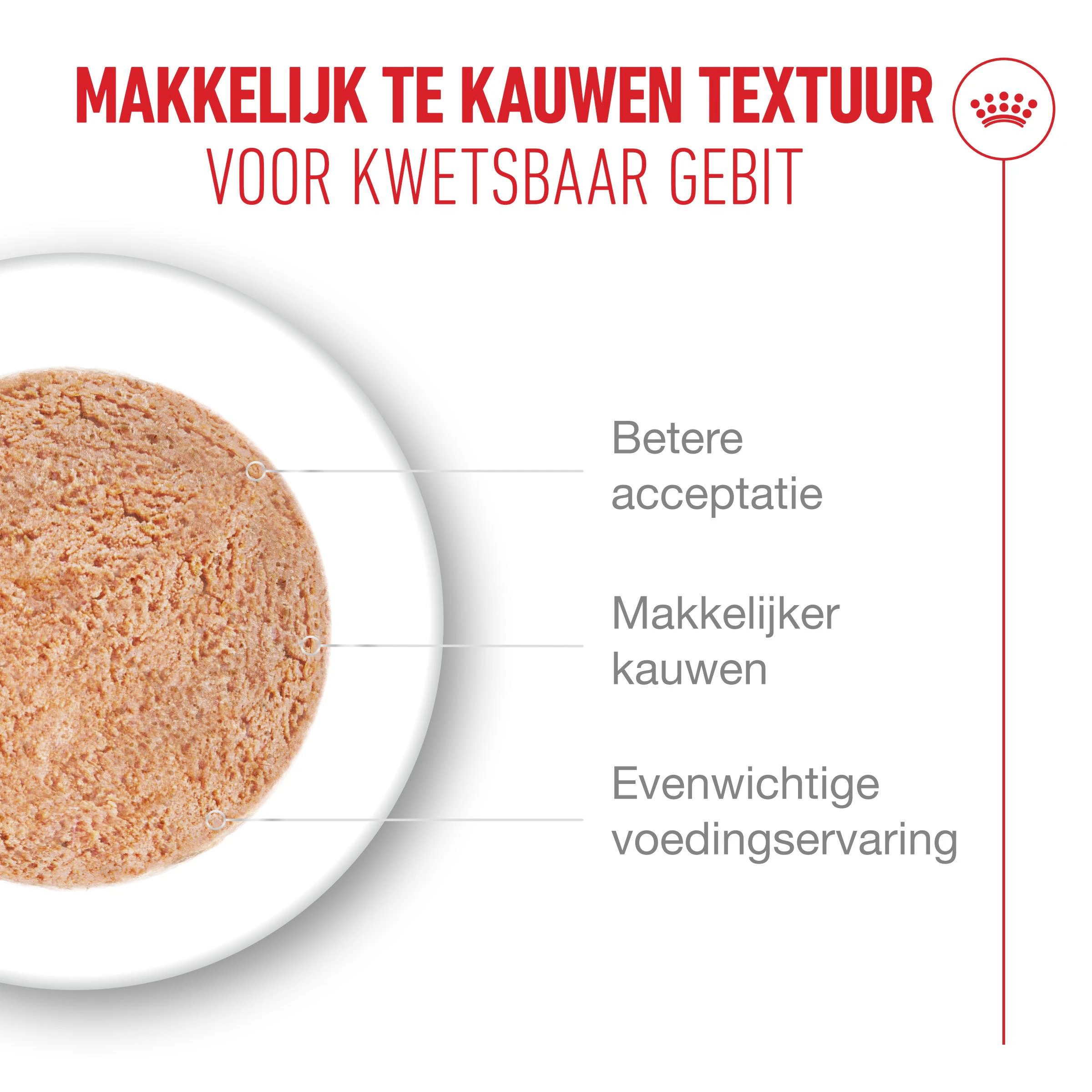 Royal Canin Ageing 11+ Mousse - Kattenvoer